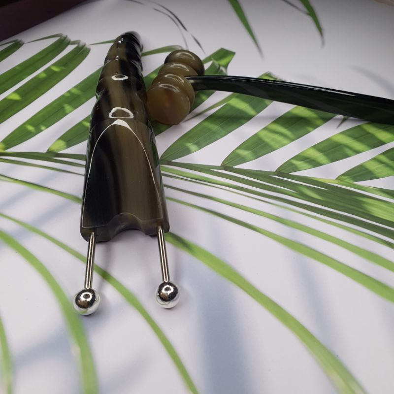 bọ cạp sừng đôi trung  bạc 10ly