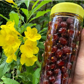 Chùm ruột rim xốc ớt cay 500g