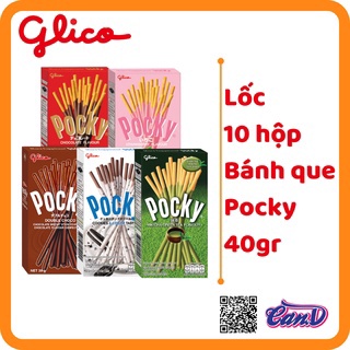 ( Bán sỉ ) Lốc 10 hộp Bánh que Pocky hộp 40gr