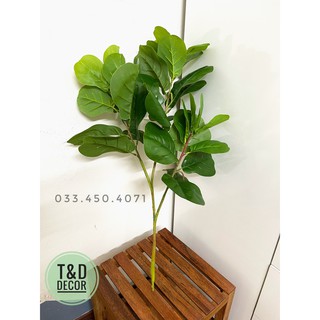 Cây bàng singgapore 70cm, cây giả decor