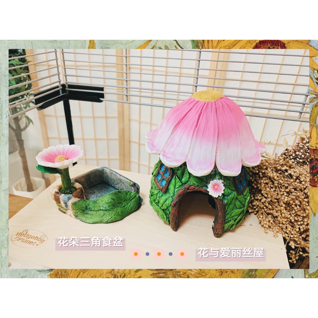 Trang Trí Hồ Cá Rừng Núi