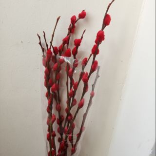 Combo tầm xuân 30 cây , phụ liệu