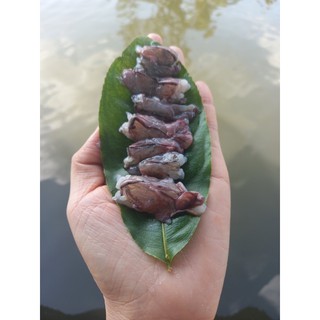 THỊT ĐẦU TÔM SÚ GẠCH 500 GR