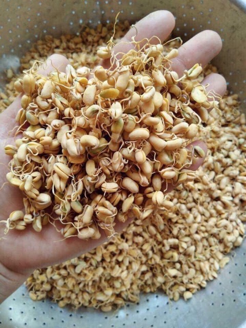 500g Mầm đậu nành nguyên xơ hàng cao cấp tăng vòng 1 hiệu quả