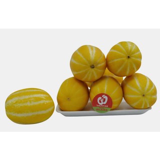 Hạt giống dưa lê Hàn Quốc [CHẤT LƯỢNG]