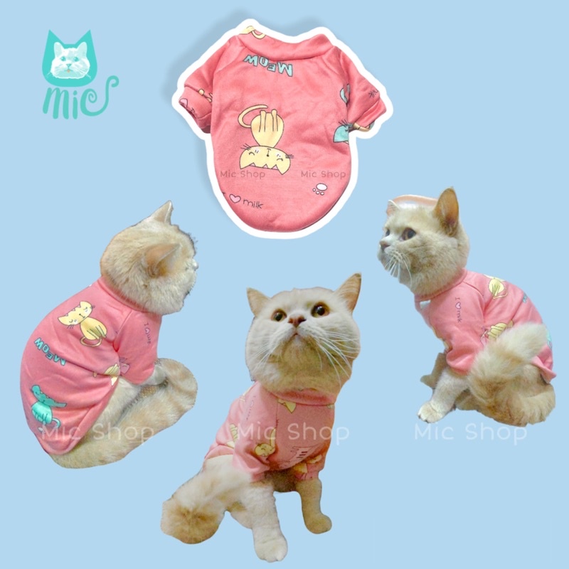 Áo nỉ thú cưng, quần áo chó mèo, áo ấm mùa đông 2021  (ẢNH THẬT SHOP CHỤP)