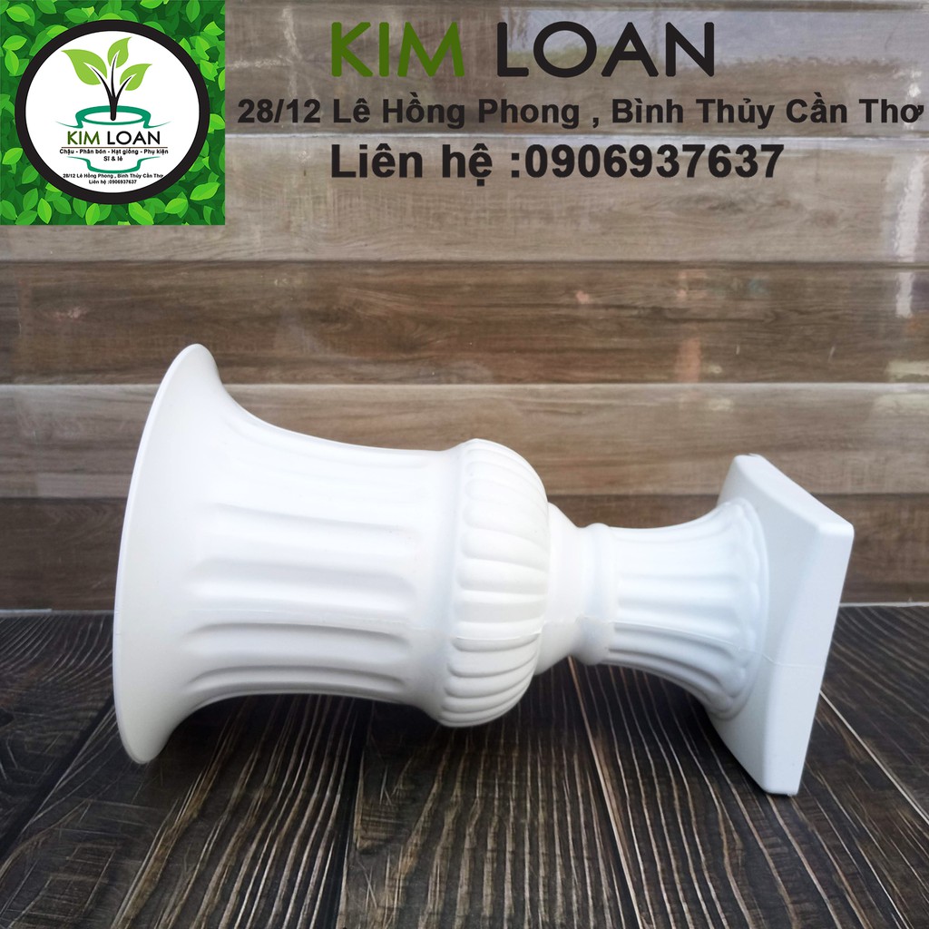 Chậu nhựa ly cúp 20x30cm