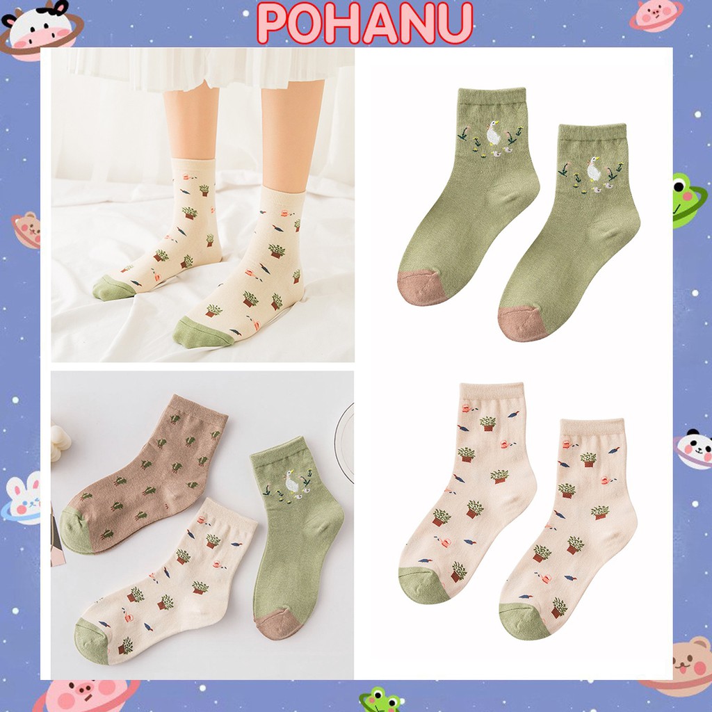 Vớ nữ Hàn Quốc chú vịt dễ thương TN106