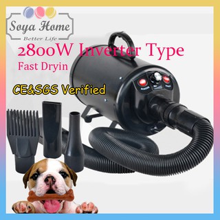 2800W Hàng cao cấp máy sấy lông chó mèo  thú cưng  chuyên dụng tặng 4 đầu máy Sấy tóc công suất lớn làm đẹp thú cưng