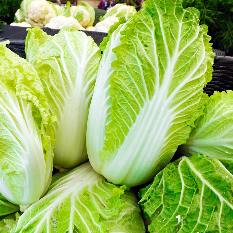 Hạt Giống Rau Cải Thảo 0,5g