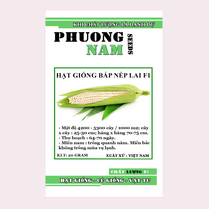 20 GR - HẠT GIỐNG BẮP NẾP NÙ