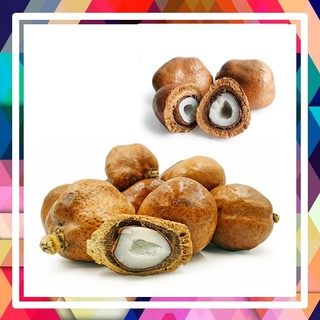 Mô Hình Trái Cây 500 Gr Zuriat