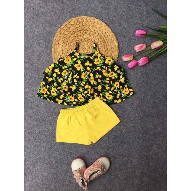 Combo 4 bộ trái cây 