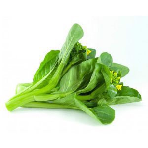 Hạt giống Cải Ngồng Mập 20gr (khoảng 4000 Hạt) (Hàng Loại 1)