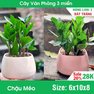 [BÁT TRÀNG] Chậu méo trồng cây