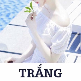 TẮM TRẮNG HOA ANH ĐÀO NHẬT BẢN