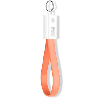 Dây Cáp Sạc Micro Usb / Type-C Dạng Móc Khóa Tiện Dụng
