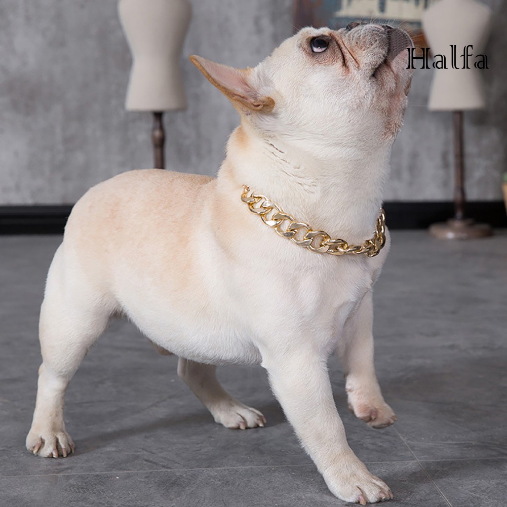 Vòng Cổ Choker Cho Thú Cưng Kích Thước 36cm / 45cm