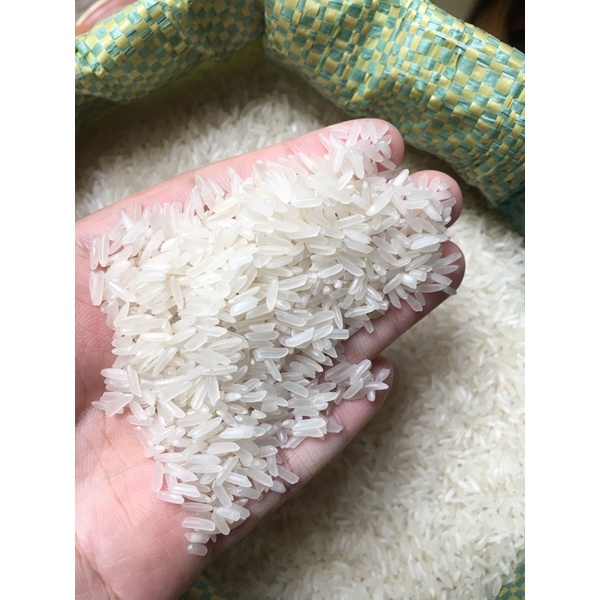 GẠO THƠM THÁI [10kg]