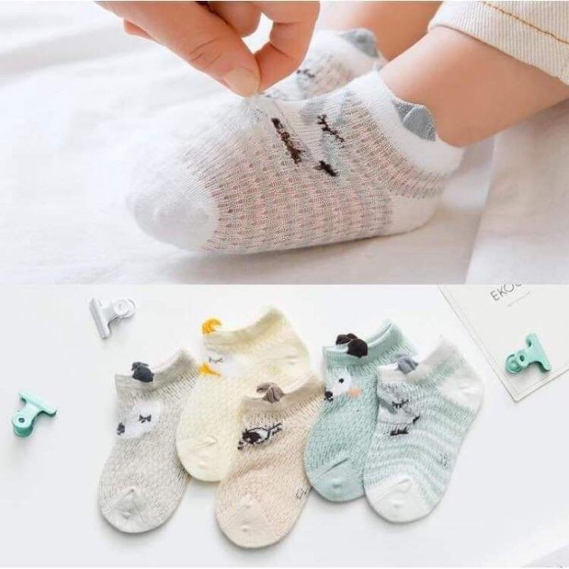 Ninikids: 5 Tất hè cotton (tất lưới cho bé)