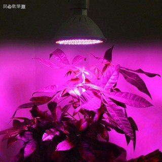 Đèn LED quang phổ E27 20W 15W 10W 6W 20W E27