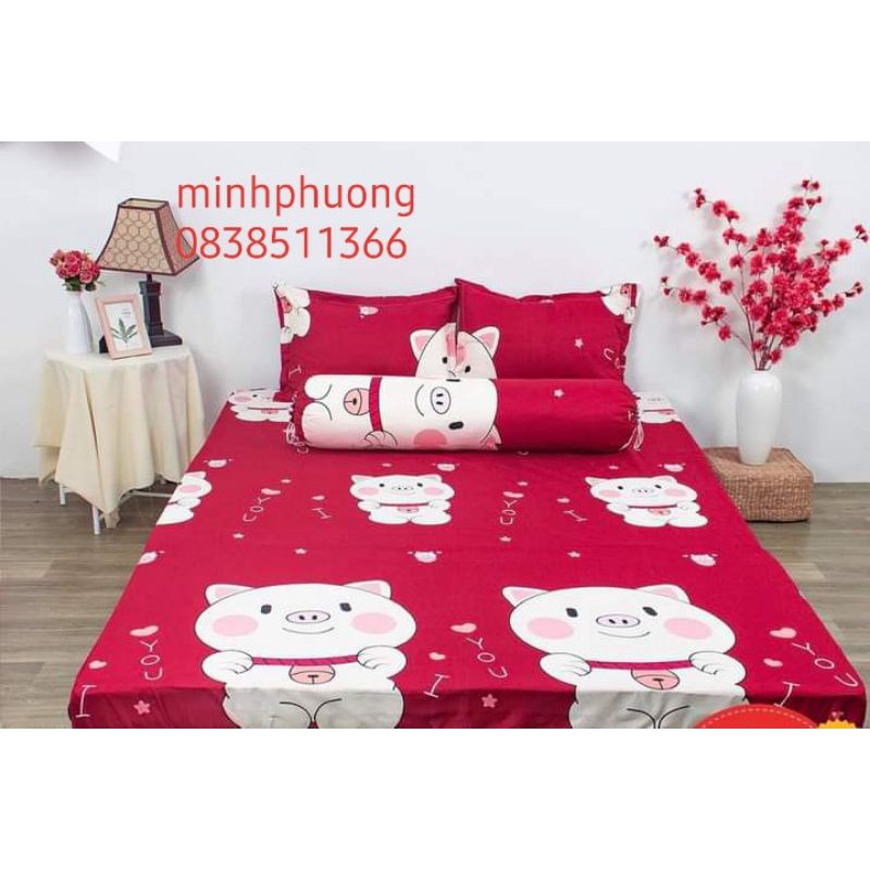 Bộ ga gối m6/m8 drap giường poly, ga trải giường cute + 2 vỏ gối nằm cute mẫu mã đa dạng, đủ kích thước