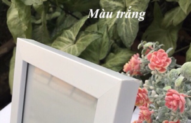 Khung Ảnh 10x15 Để Bàn, Treo Tường. Tặng chân chống để bàn hoặc đinh 3 chân treo tường.