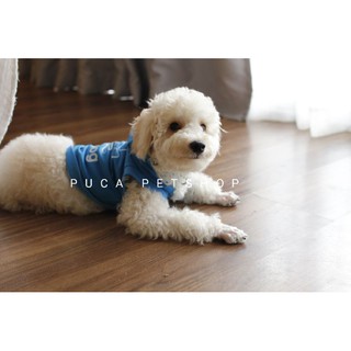 [HCM Now Grab] Áo chó mèo có nón Adidog