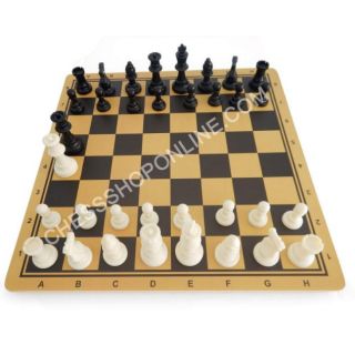 Bộ cờ vua nhựa tiêu chuẩn và bàn gỗ (tặng kèm hậu mỗi bên)