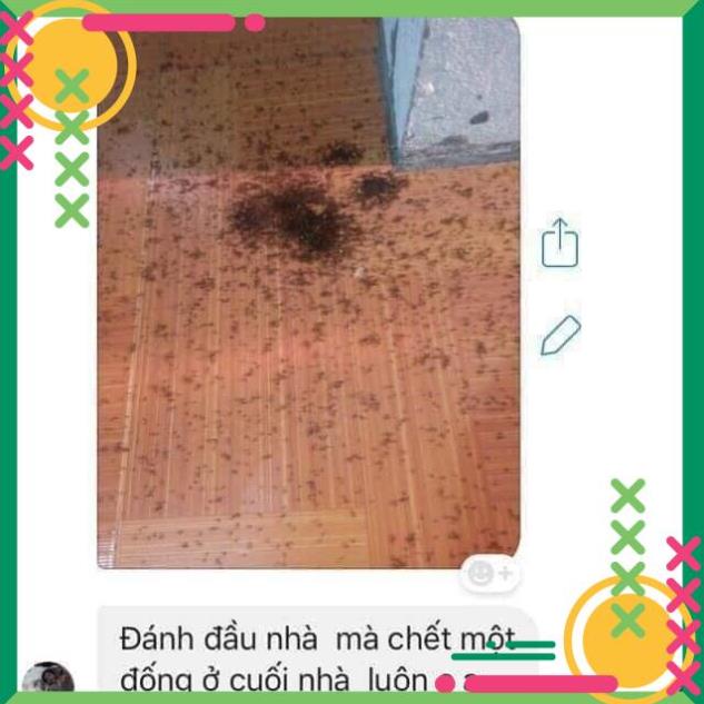[TẶNG MÓC DÁN TƯỜNG ] Thuốc Diệt Kiến Gián Tận Gốc An Toàn Hiệu Quả