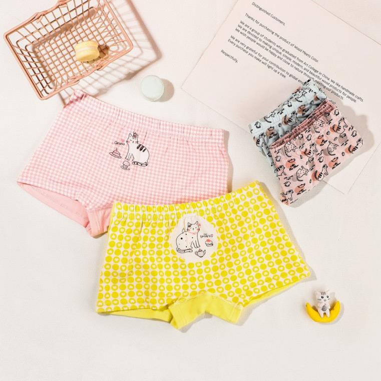 Combo Hộp 4 quần lót dạng đùi vải cotton Hàn Quốc cho bé gái mẫu Con Mèo-Máy Bay