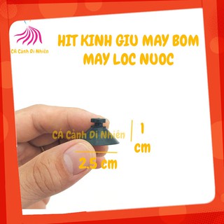Hít kính giữ máy bơm lọc nước cho hồ bể cá cảnh - hít đế máy bơm