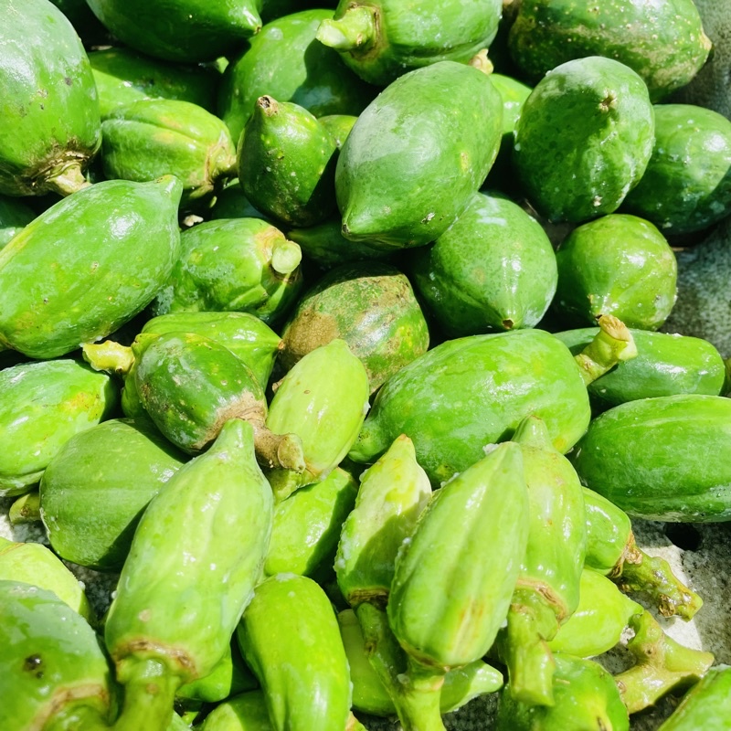 Đu Đủ Non Chảy Nhựa & Lá Đu Đủ Tươi - Vườn Ươm Thái Ngân