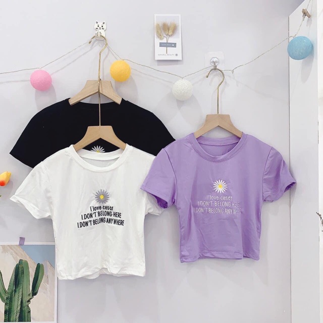 ❤️Áo Cortop Thêu Hoa Cúc❤️ chất thun lạnh mềm mịn , free size dưới 55kg vừa