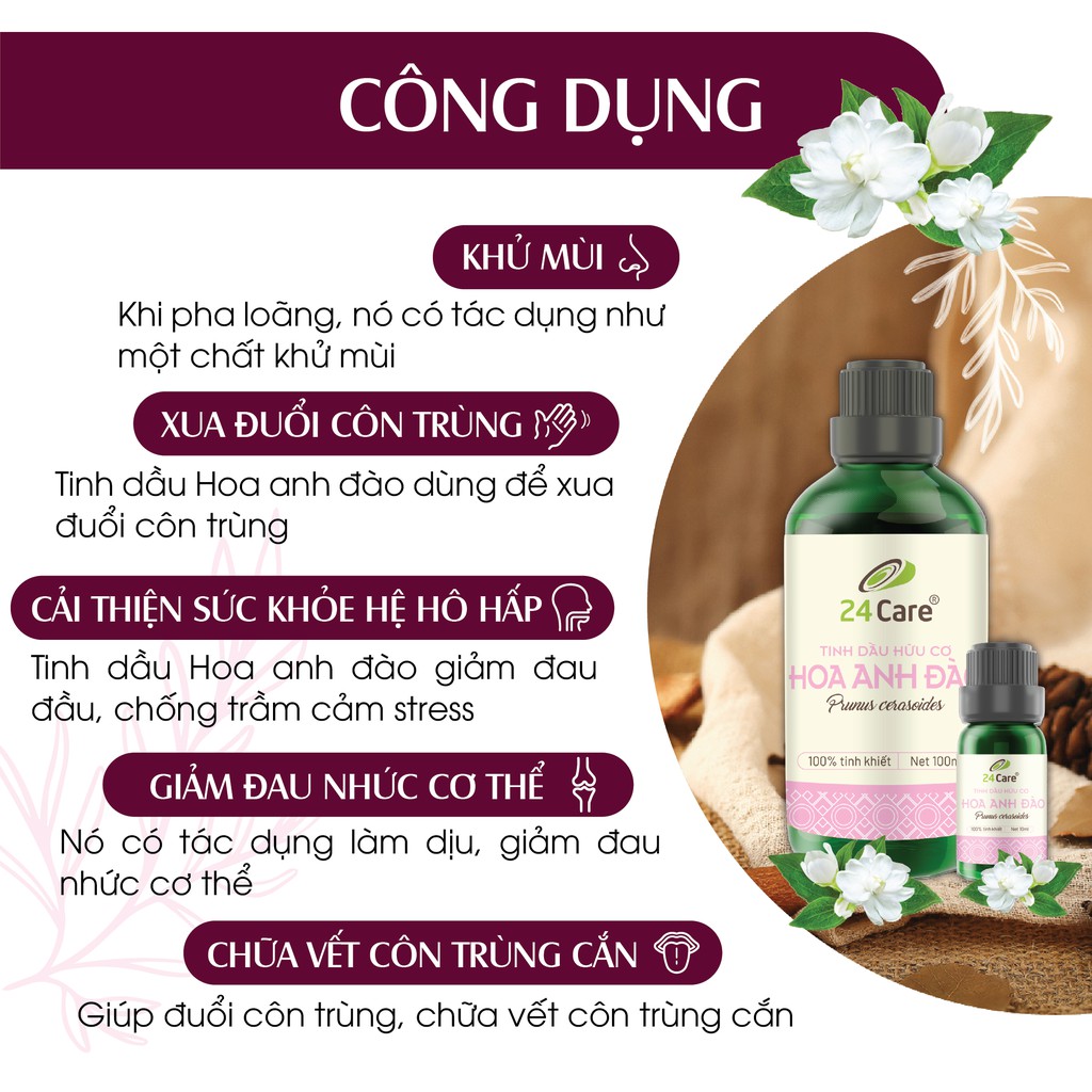 Tinh dầu Hoa Anh Đào 24Care 10ml - xông phòng thơm, làm đẹp da, giảm bạc tóc, giảm thiểu lão hóa