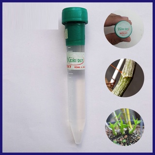 Keiki Duy xanh kích chồi, kích mầm, DẠNG PHUN SPRAY