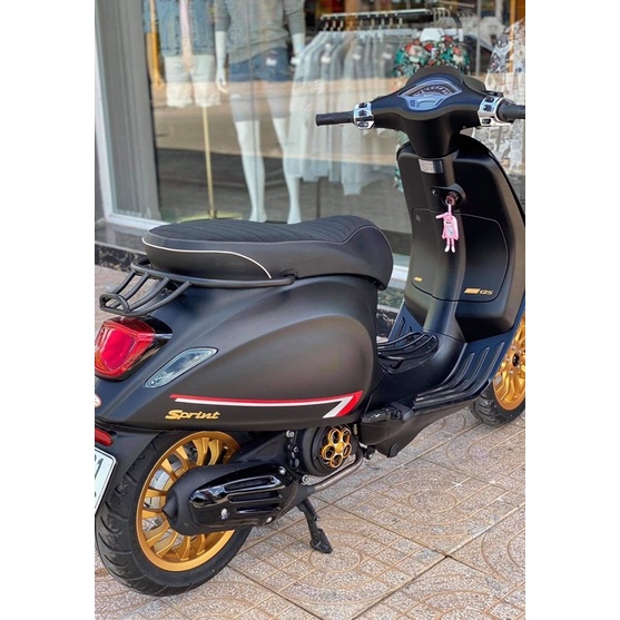 BAGA CONG VESPA SPRINT, PRIMAVERA NHẬP KHẨU