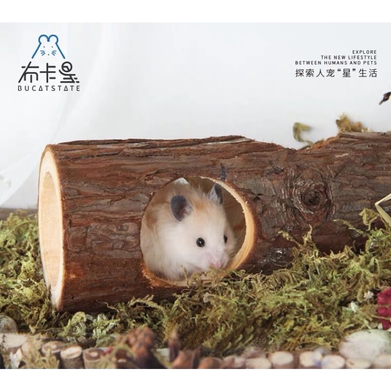 ống chui gốc cây dành cho hamster