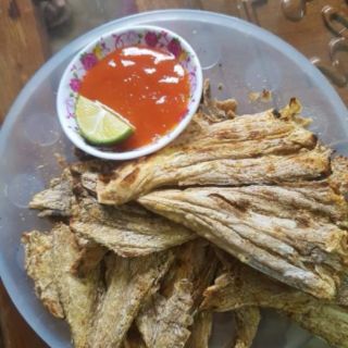 Cá đuối ghim Vân Đồn