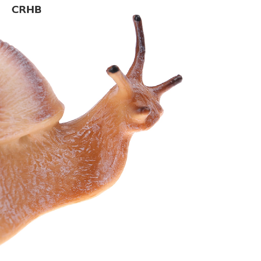 Crhb Đồ trang trí Côn Trùng mini Hình Động Vật / Ốc Sên Tăng Trưởng Chu Kỳ Mới