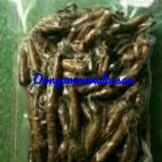 Sâm cau đen rừng( Sâm tiên mao) 1kg