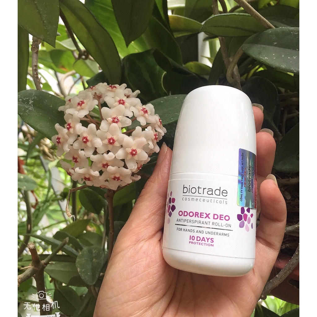 Lăn Khử Mùi Odorex Deo Biotrade Ngăn Ngừa Mồ Hôi, Khô Thoáng, Hương Thơm Dễ Chịu 40Ml