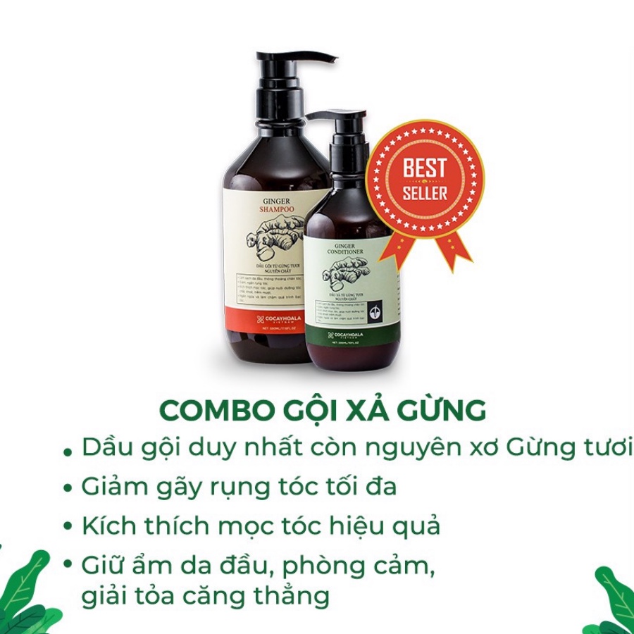 Combo Dầu Gội Xả Gừng Thảo Dược Thiên Nhiên Kích Thích Mọc Tóc Giảm Rụng Tóc Giảm Gàu Chính Hãng