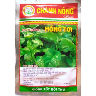 Hạt giống mồng tơi xanh