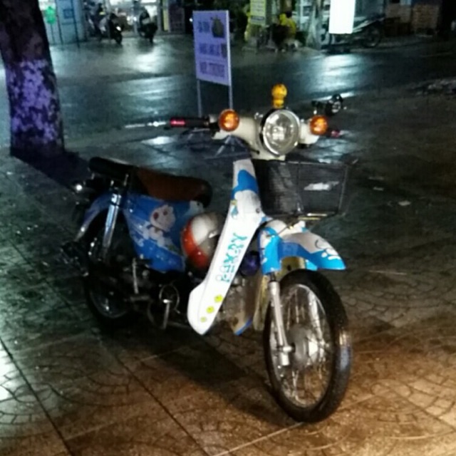 tem xe cub