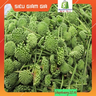 100gr Nụ Hoa Tam Thất Khô ★Loại Siêu Siêu đẹp★ tam thất bao tử Ngon Hỗ Trợ Điều Trị Mất Ngủ, Tốt cho Tim Mạch