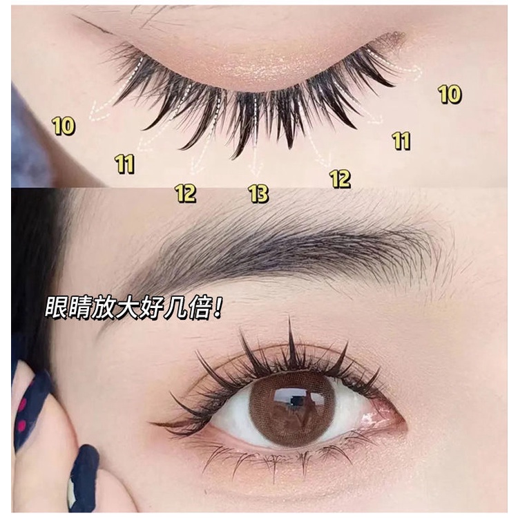 Lông Mi Giả Dày Và Cong Tự Nhiên Dành Cho Người Mới Bắt Đầu