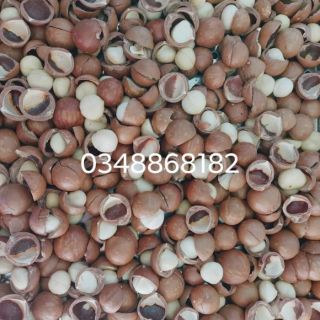 0.5kg MACCA NHÂN LÂM ĐỒNG