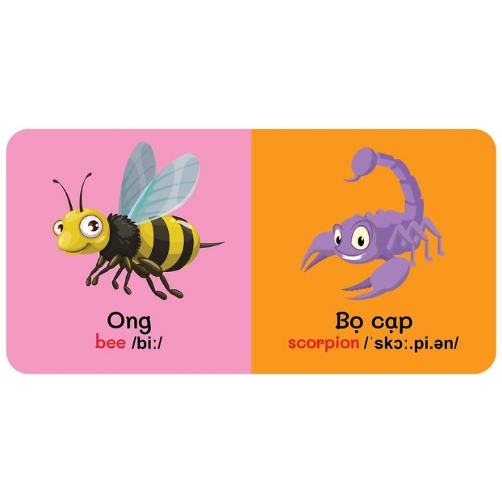 Sách - Từ Điển Bằng Hình Đầu Tiên Của Bé - Insects - Côn Trùng (Song Ngữ Anh - Việt)