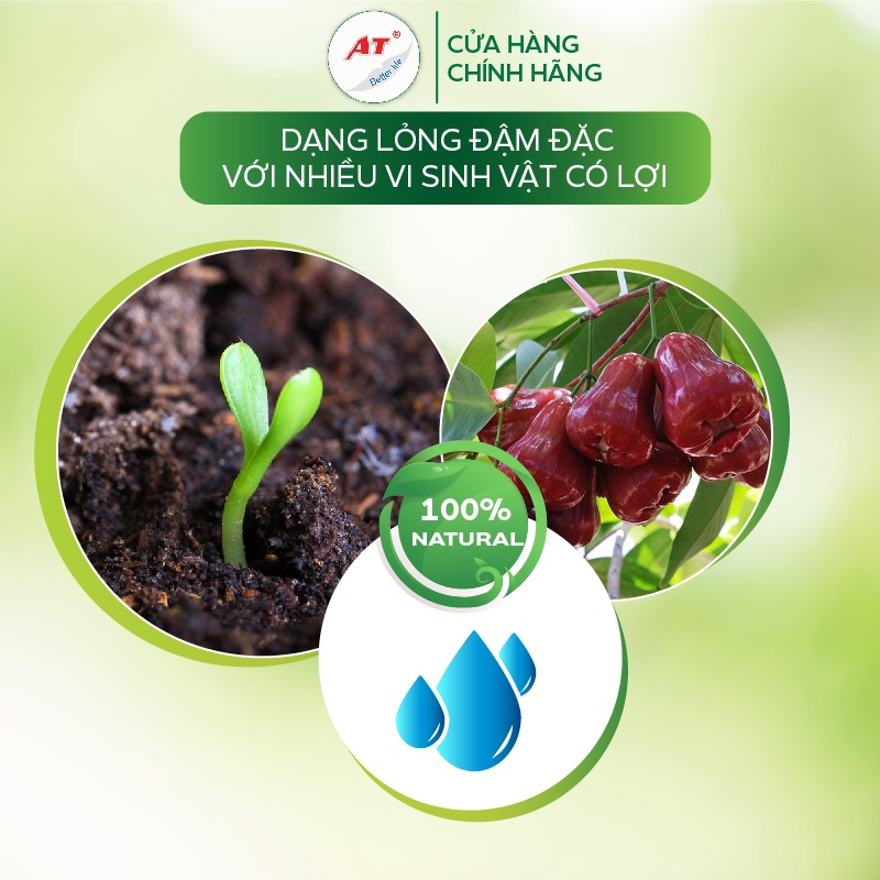 Nano Elicitor 250ml diệt khuẩn AT siêu kích kháng virus chống xoăn ngọn thể khảm trên rau sạch